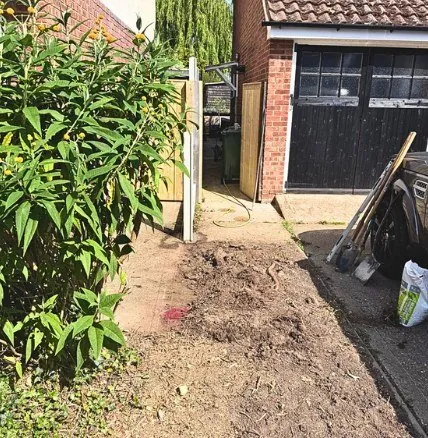 Overgrown side passage beside a driveway before clearance
