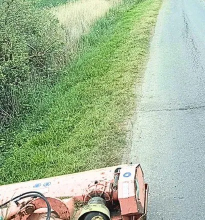 Freshly cut roadside verge in rural Essex